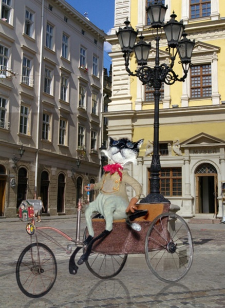 кіт на машині